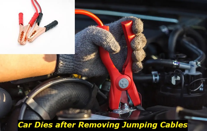 car dies after removing jumping cables